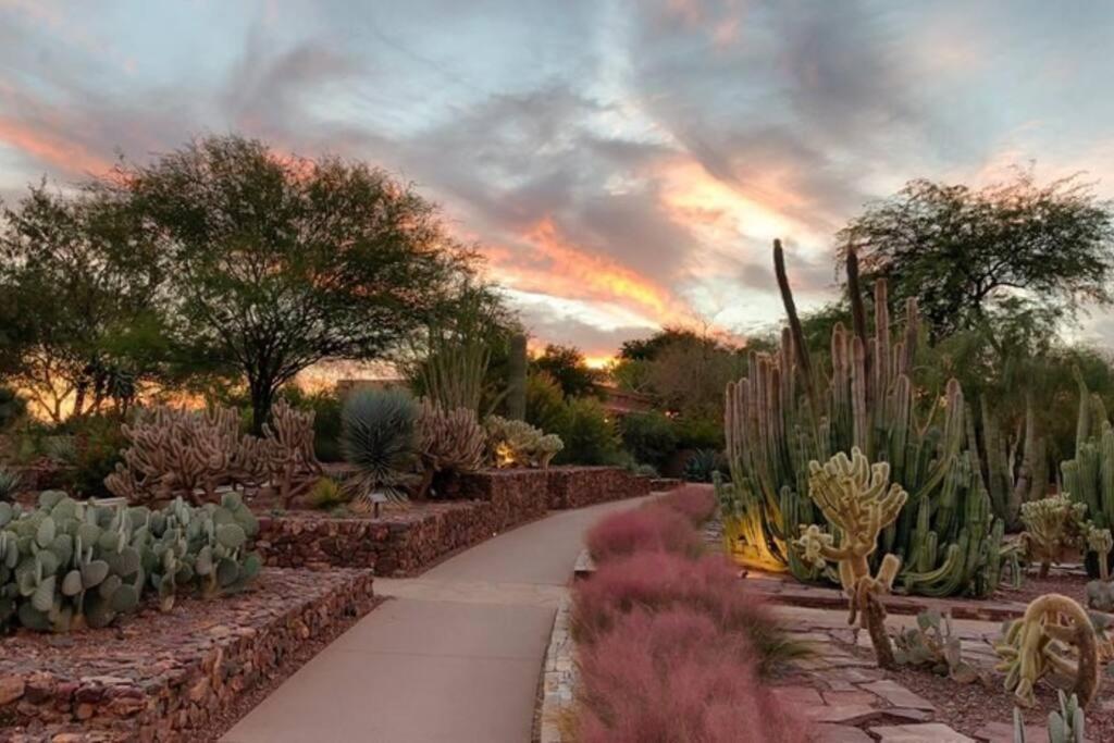 Tucson The Greens! 3Br Apt W/ Pool & Spa Dış mekan fotoğraf